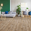 Линолеум полукоммерческий Consul Elegant Oak 2 367М; 4 м купить в СОМ